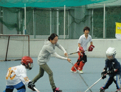 �h���[���X�e�q���