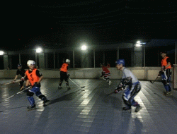 �z�b�P�[�i�C�^�[